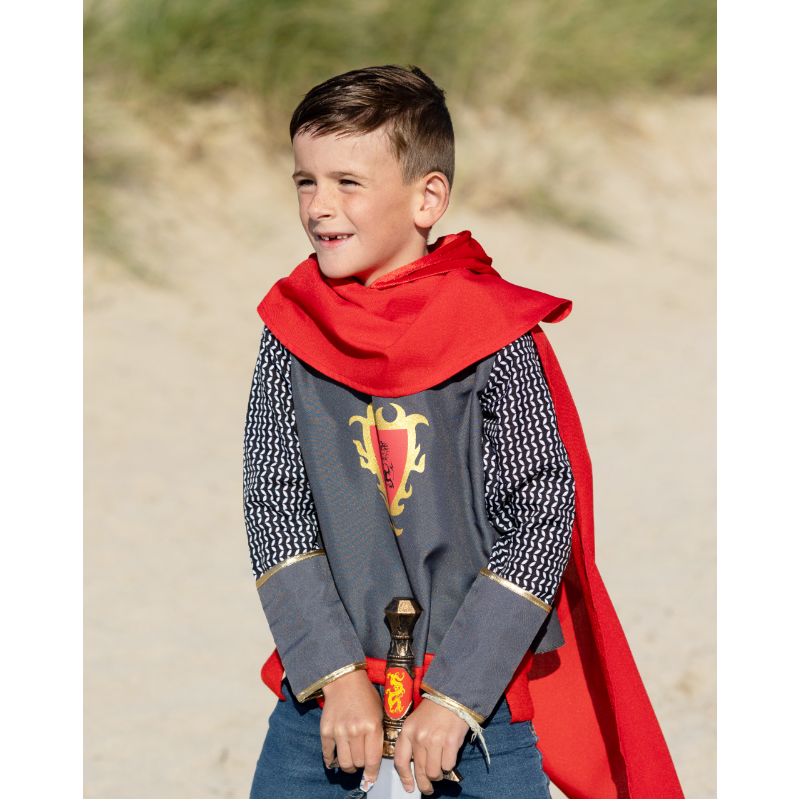 Disfraz De Caballero Medieval Para Niños – Set De 4 Piezas Con Casco, Espada, Escudo Y Armadura, Color Gris Plateado, Para Halloween, Cosplay Y Juegos De Rol