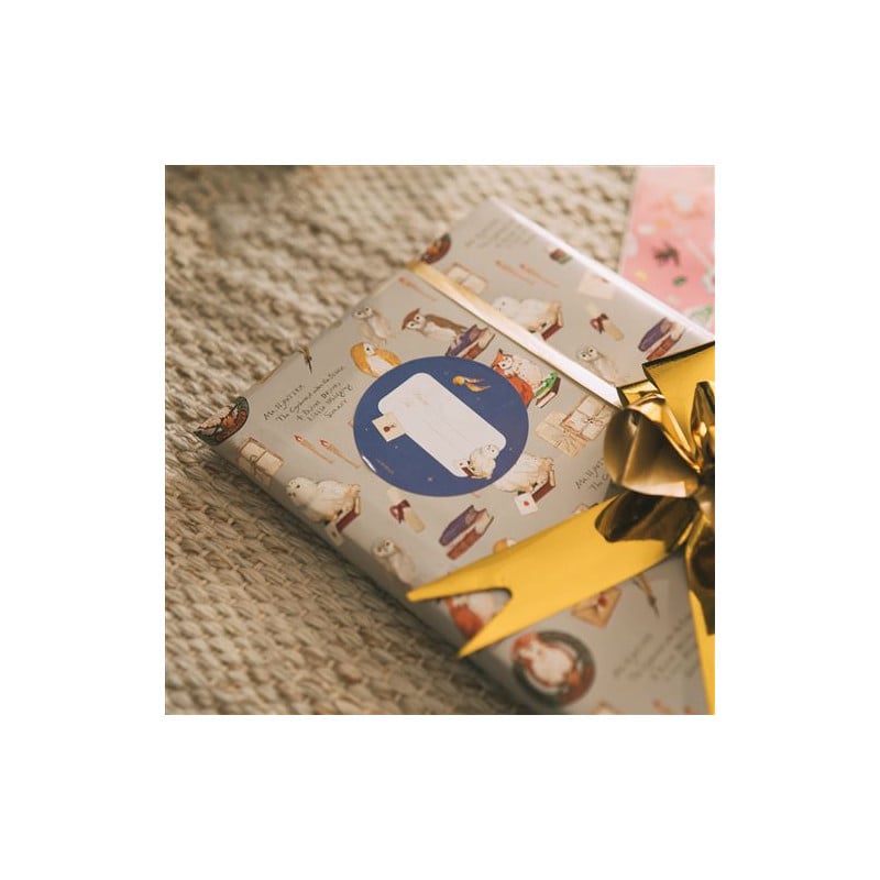 Set Papel Regalo Harry Potter