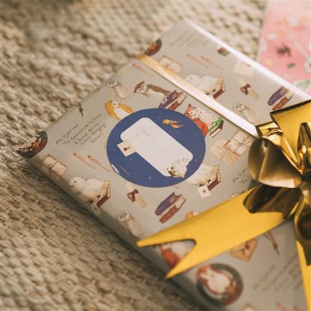 Set Papel Regalo Harry Potter