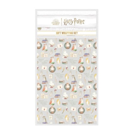 Set Papel Regalo Harry Potter