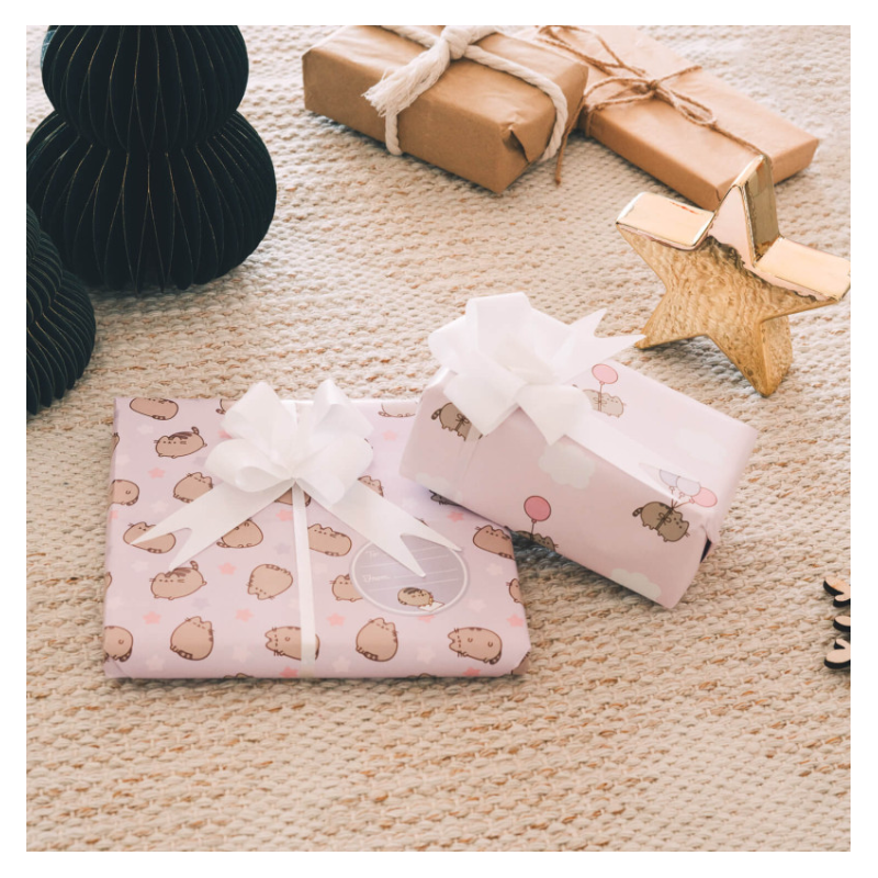 Set Papel Regalo Pusheen