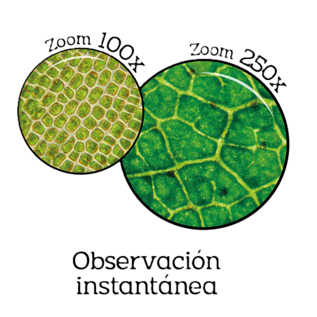 Microscopio Portátil