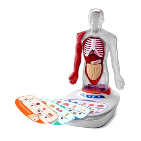 El Cuerpo Humano Interactivo De Science 2