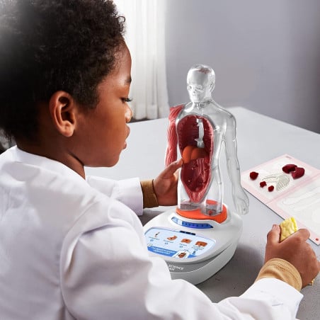 El Cuerpo Humano Interactivo