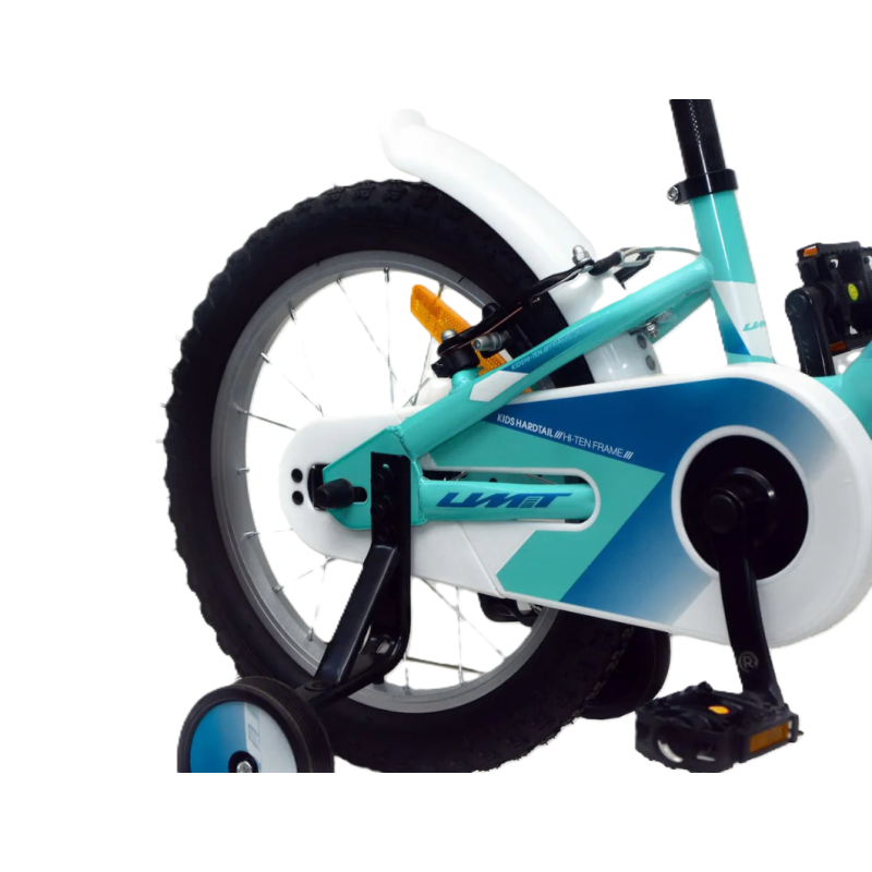 Bicicleta Alice Turquesa 16 Pulgadas 5-6 Años