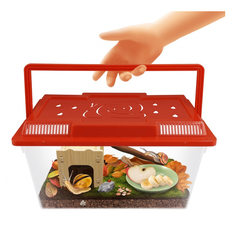 Casita Para Caracoles