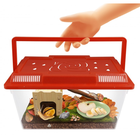 Casita Para Caracoles