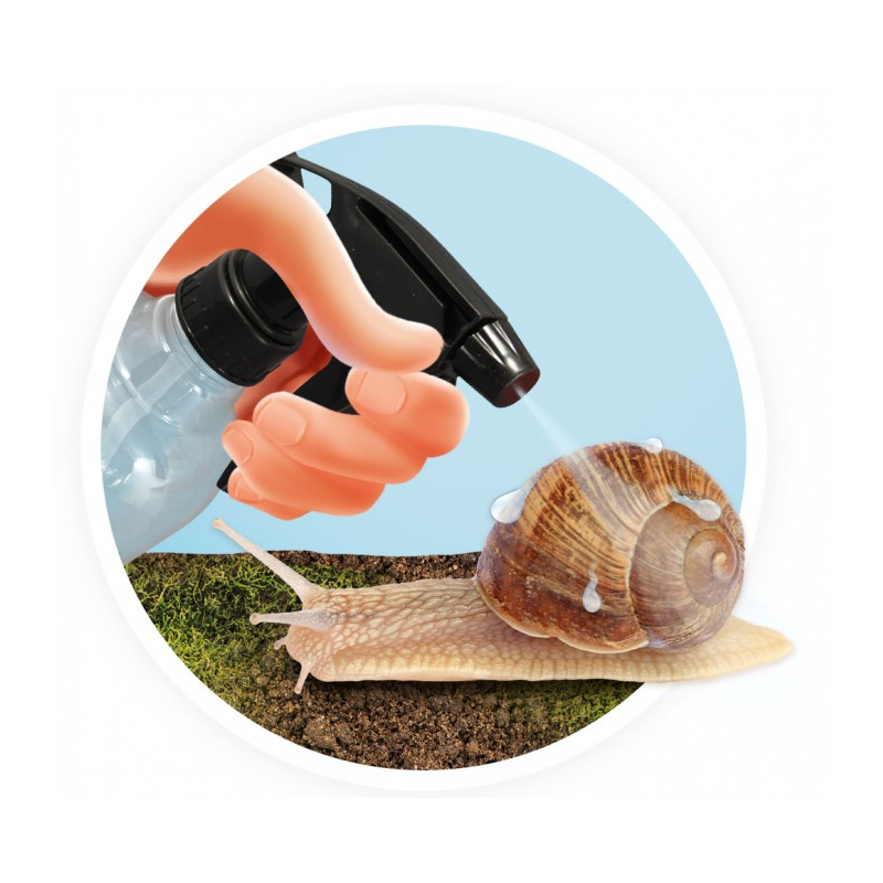 Casita Para Caracoles