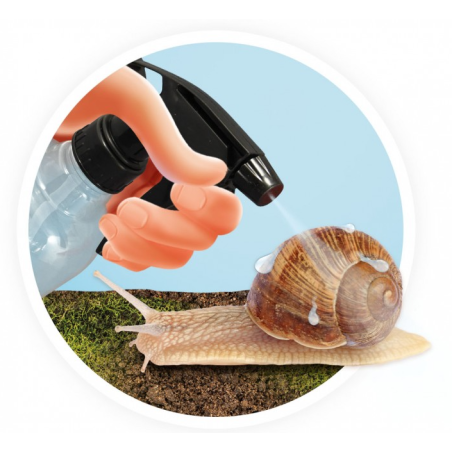 Casita Para Caracoles