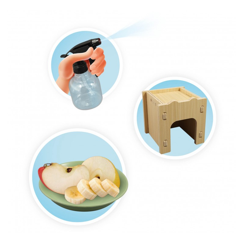 Casita Para Caracoles