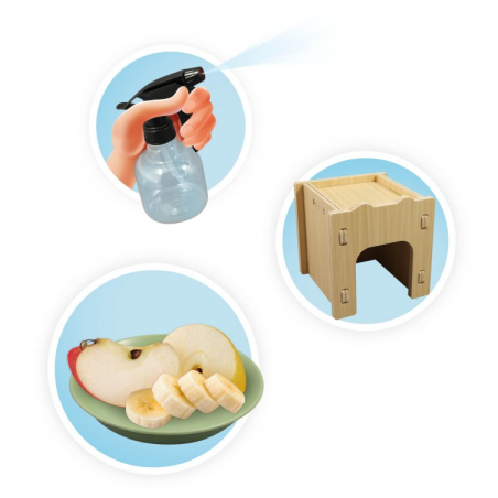 Casita Para Caracoles