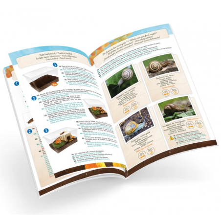 Casita Para Caracoles