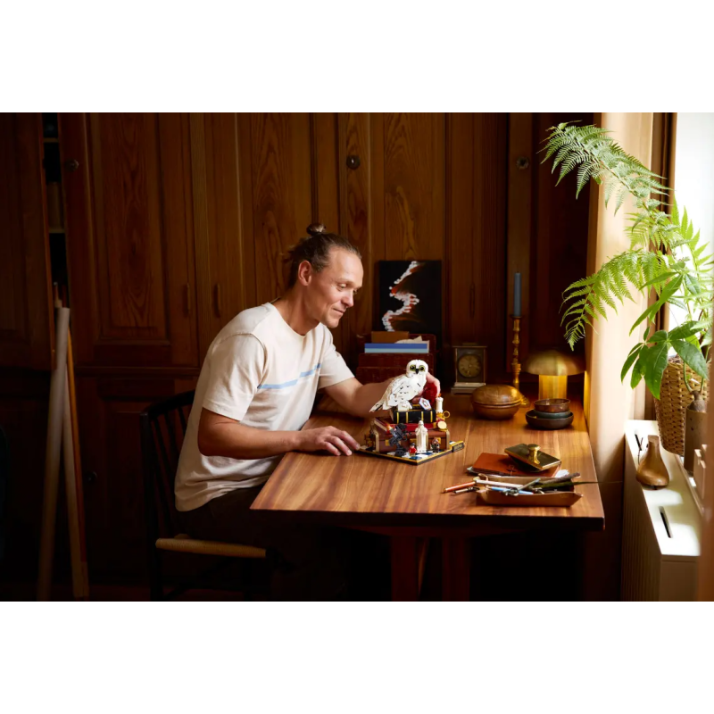 LEGO Piedra Filosofal Para Coleccionista 76466