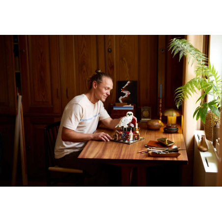 LEGO Piedra Filosofal Para Coleccionista 76466