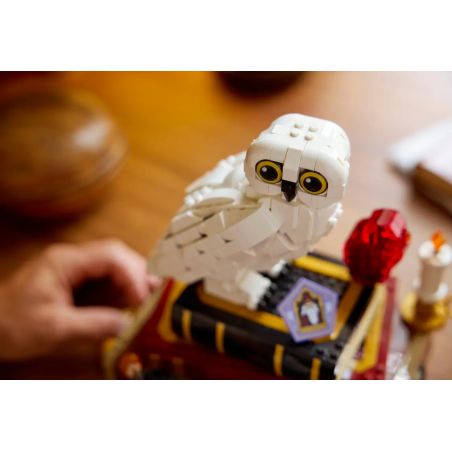 LEGO Piedra Filosofal Para Coleccionista 76466