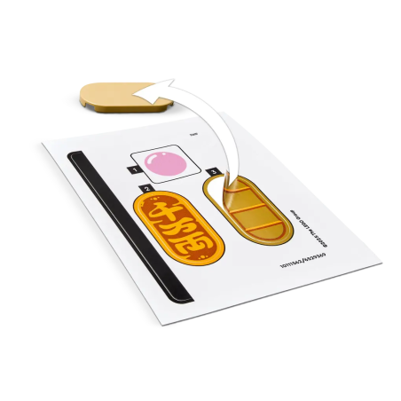 LEGO Gato De La Buena Suerte 40813