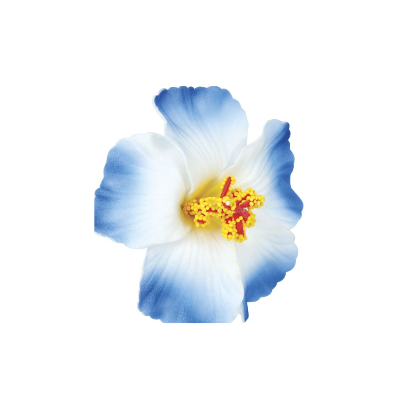 Blister 3 Flores Hawaianas Hq