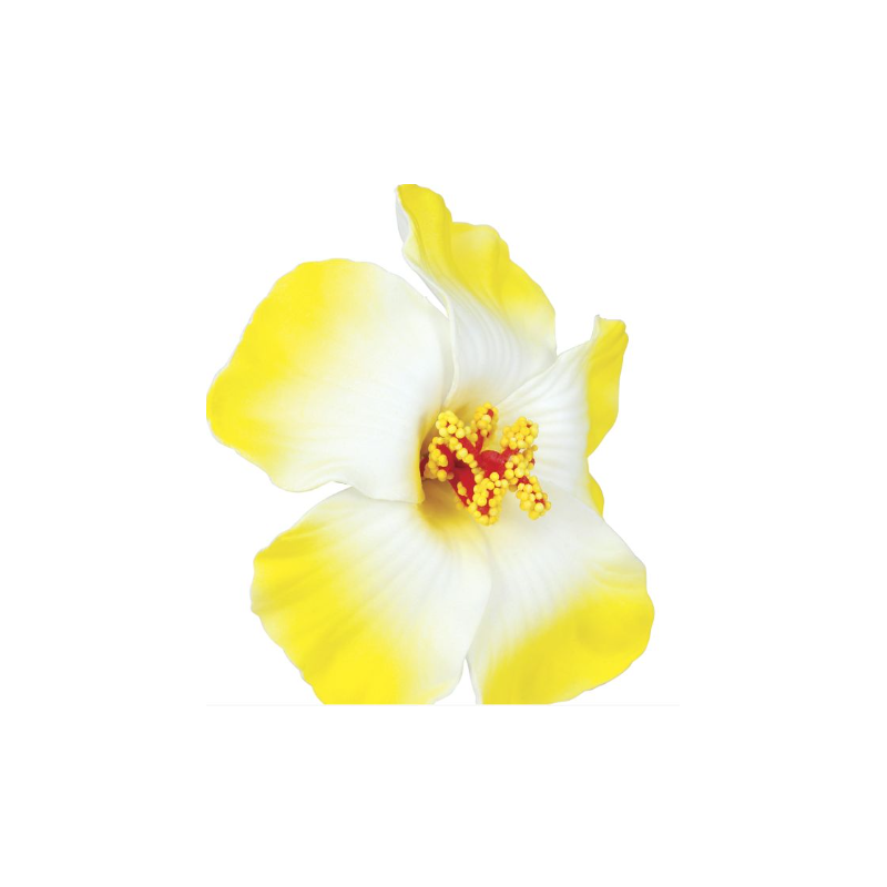 Blister 3 Flores Hawaianas Hq