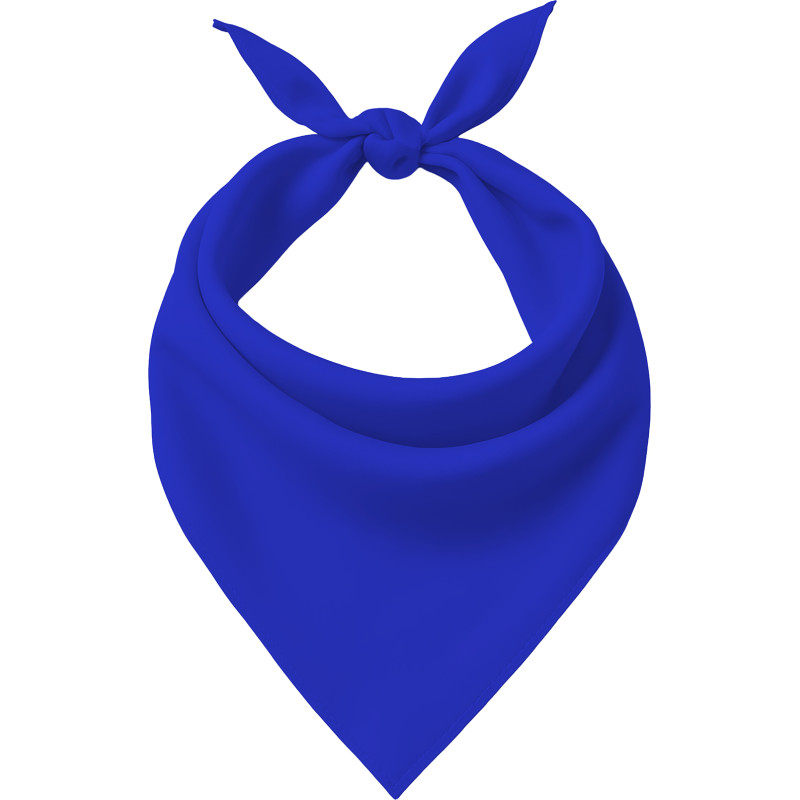 Pañuelo Azul Adulto