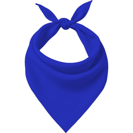 Pañuelo Azul Adulto
