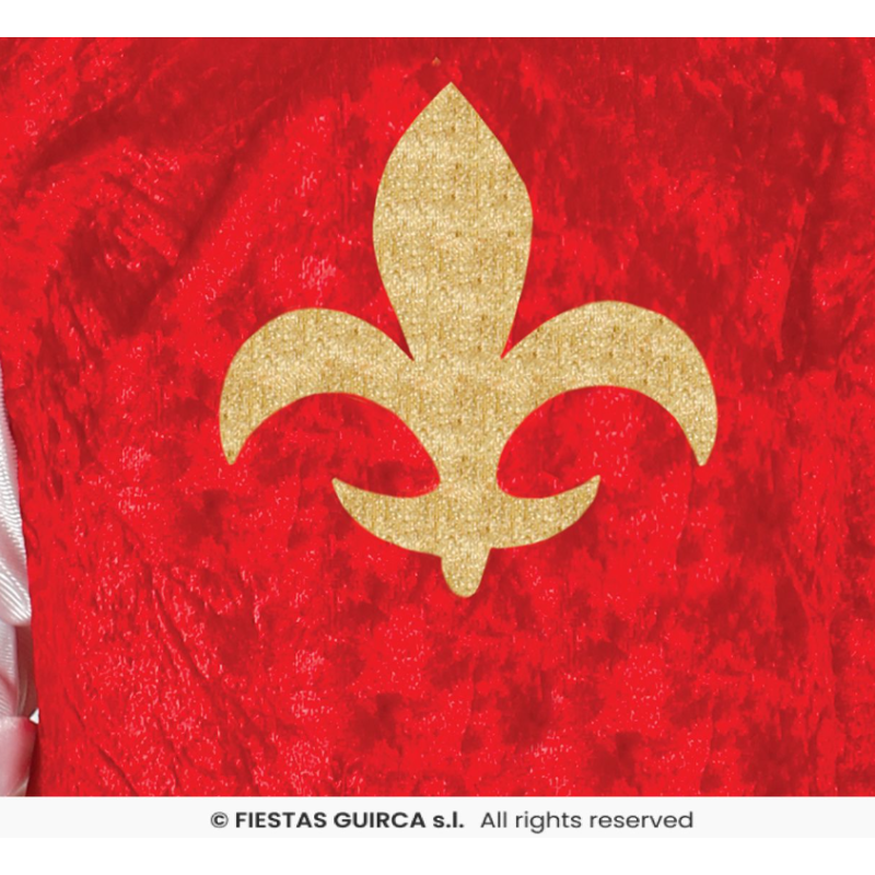 Disfraz Mosquetero Infantil Talla 10-12 Años