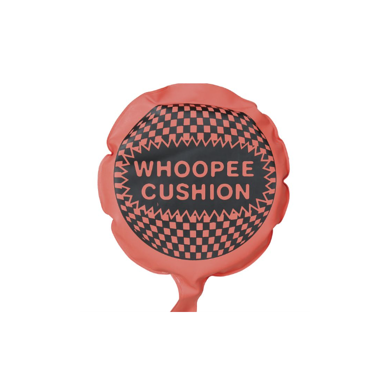 Cojín Flatulencias 23 Cms Colores Surtidos