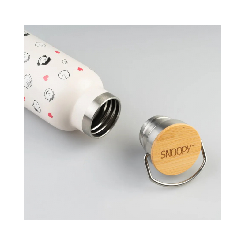Botella Metálica Con Asa Snoopy Love Season