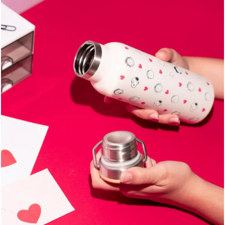 Botella Metálica Con Asa Snoopy Love Season