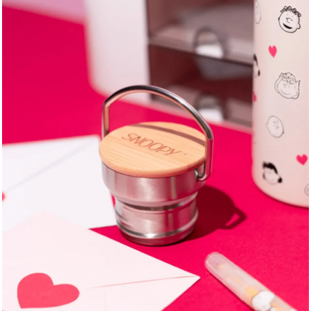 Botella Metálica Con Asa Snoopy Love Season