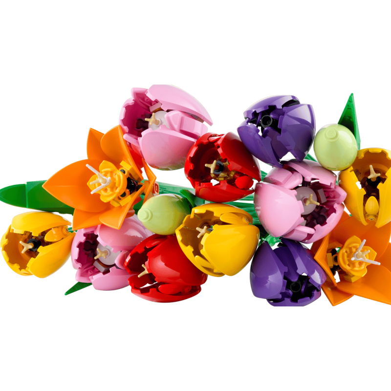 LEGO Botanicals Ramo De Tulipanes 11501
