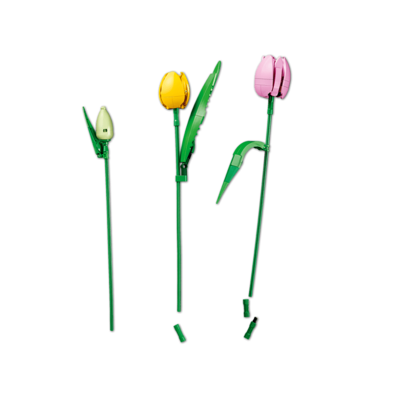 LEGO Botanicals Ramo De Tulipanes 11501