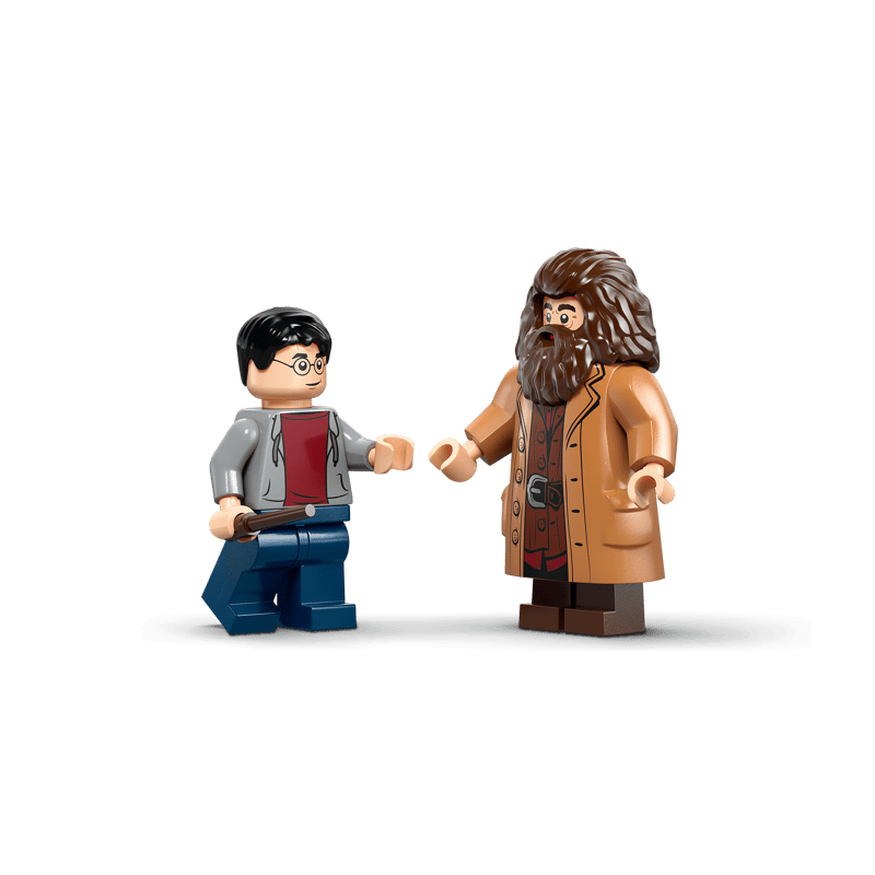 LEGO Harry Potter Hagrid y Harry: Huida de Privet Drive 76459