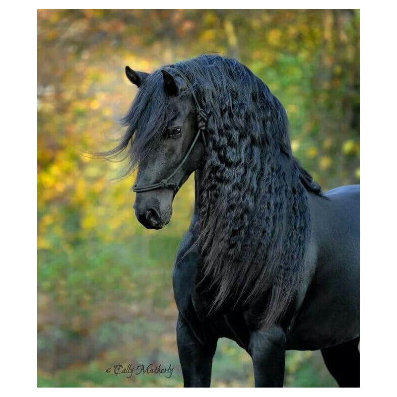 Schleich Yegua Frisona