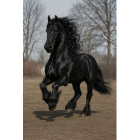 Schleich Semental Frisón De Schleich 2