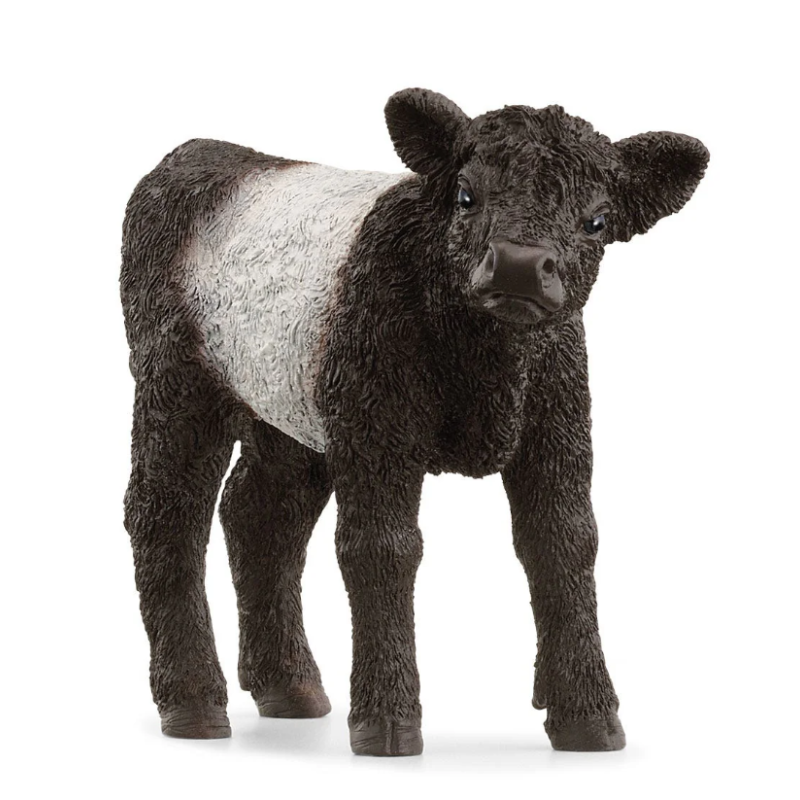 Schleich Ternero Galloway De Schleich
