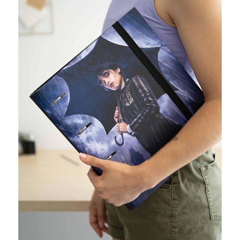 Carpeta Miércoles 4 Anillas