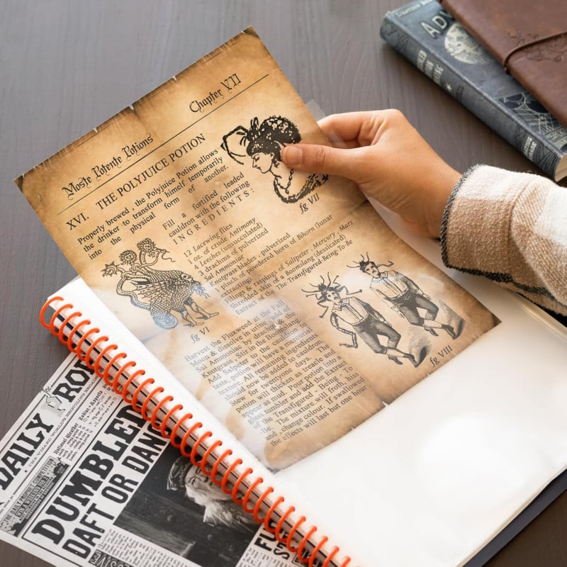 Carpeta De Fundas Harry Potter A4