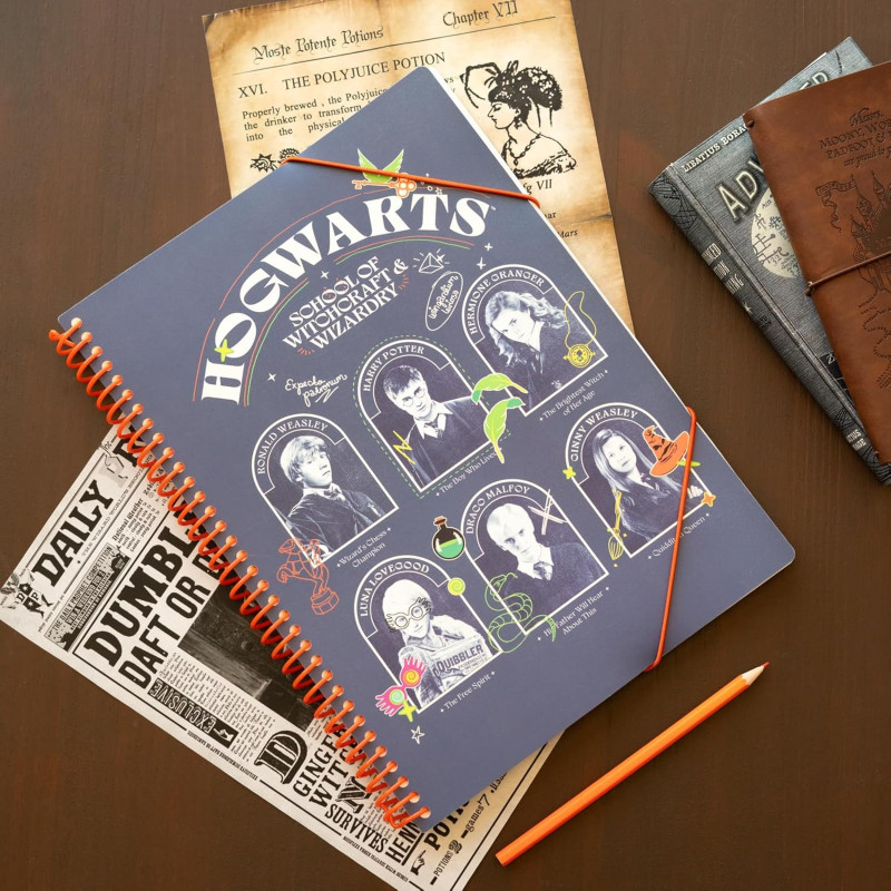 Carpeta De Fundas Harry Potter A4