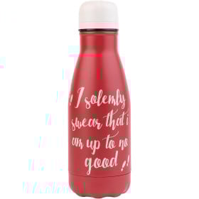 Botella Metálica Harry Potter 260 ML De Grupio Erik