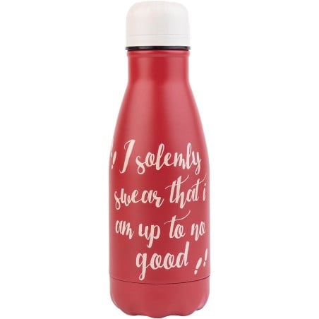 Botella Metálica Harry Potter 260 ML De Grupio Erik