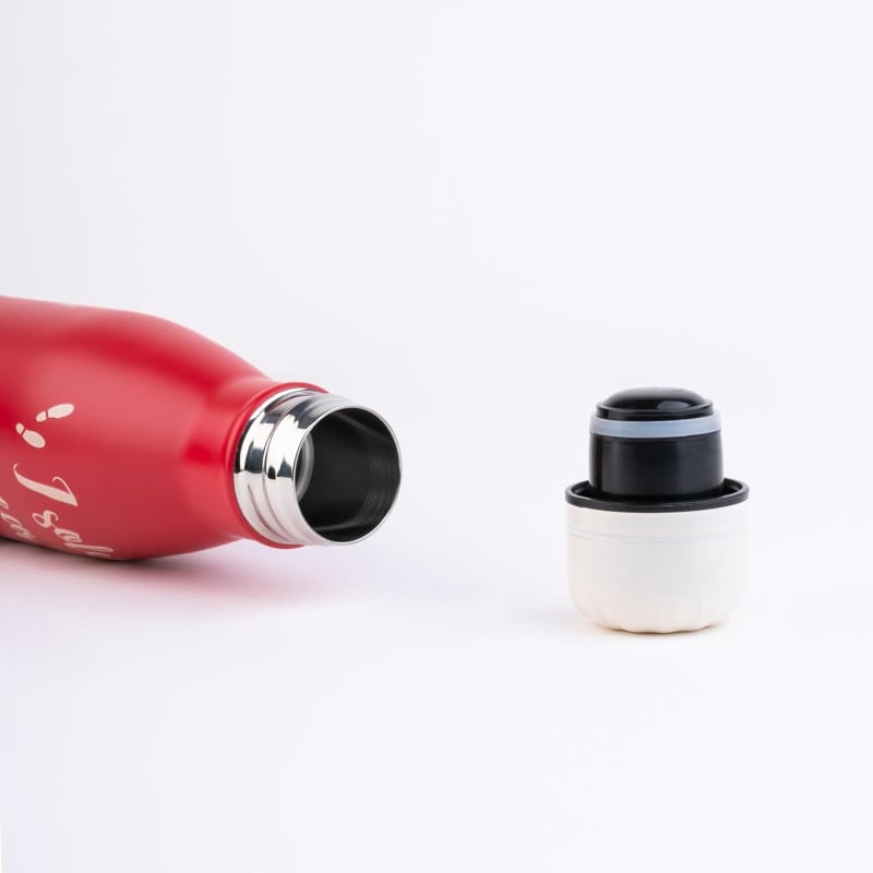 Botella Metálica Harry Potter 260 ML