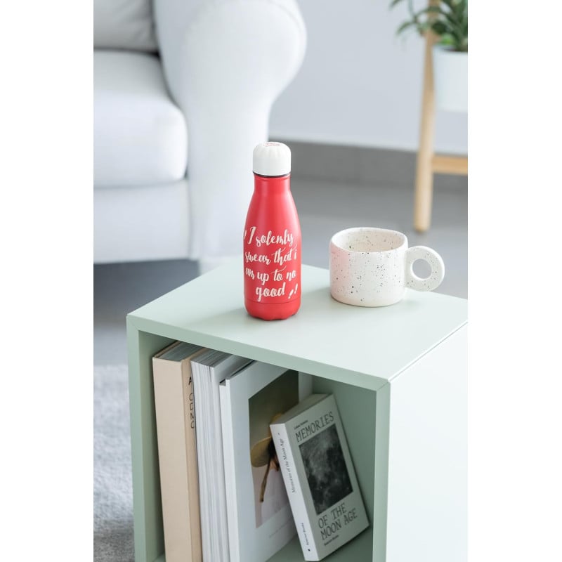 Botella Metálica Harry Potter 260 ML