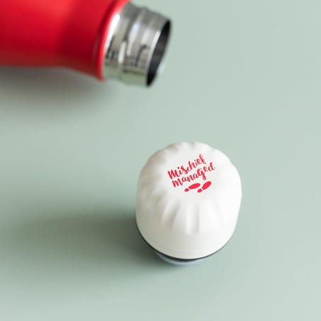 Botella Metálica Harry Potter 260 ML