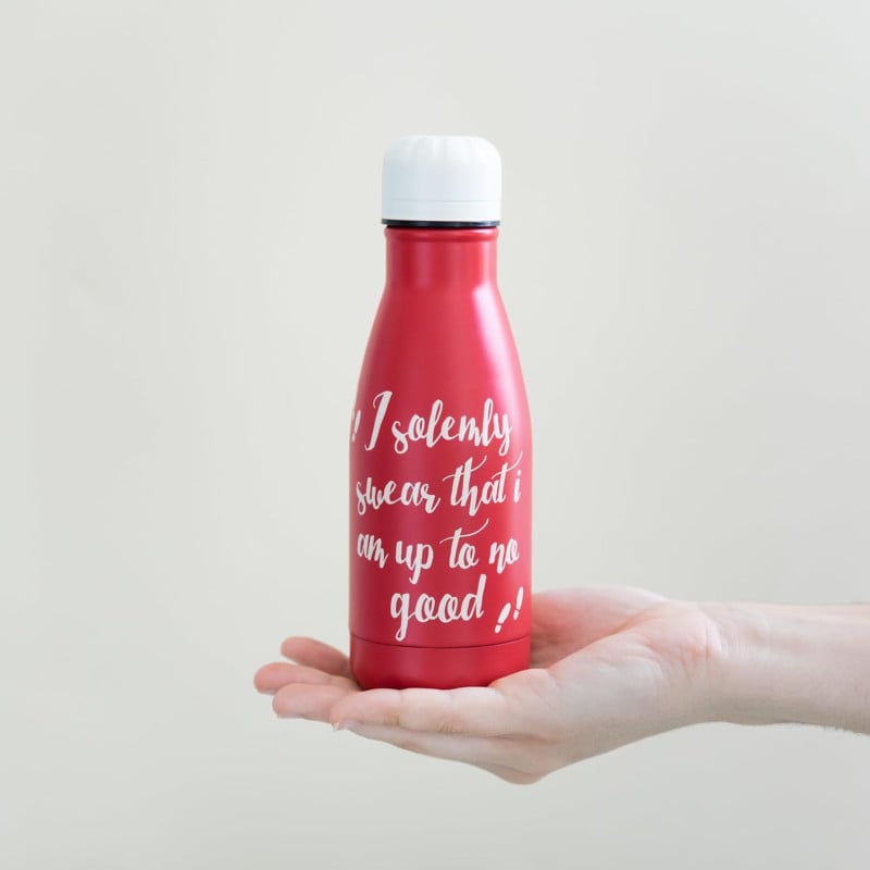 Botella Metálica Harry Potter 260 ML