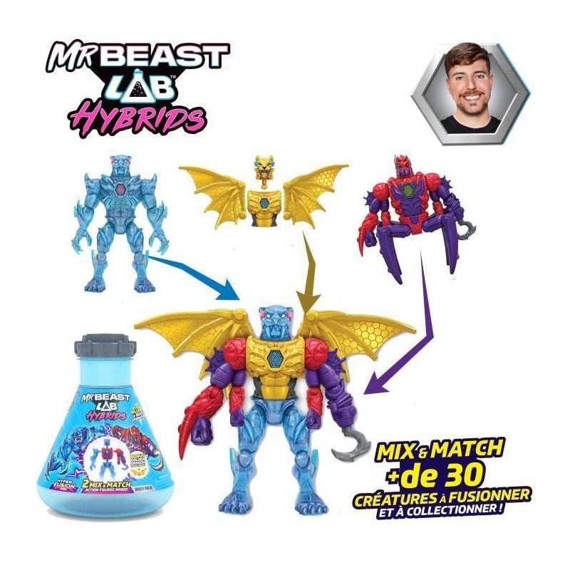 Pack Mr Beast Lab Hybrid