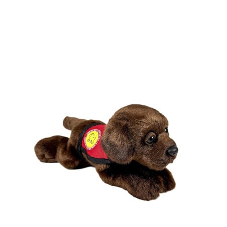 Peluche Labrador Chocolate 21 Cm De Deqube