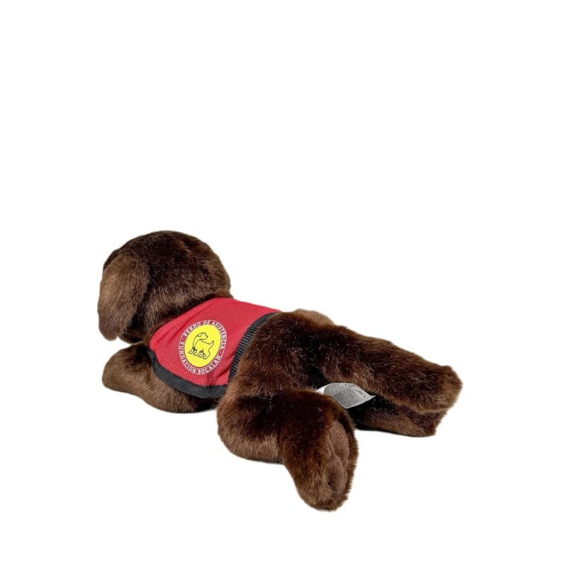 Peluche Labrador Chocolate 21 Cm