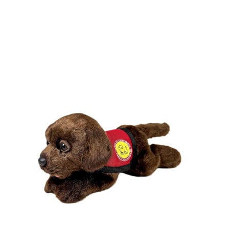 Peluche Labrador Chocolate 21 Cm
