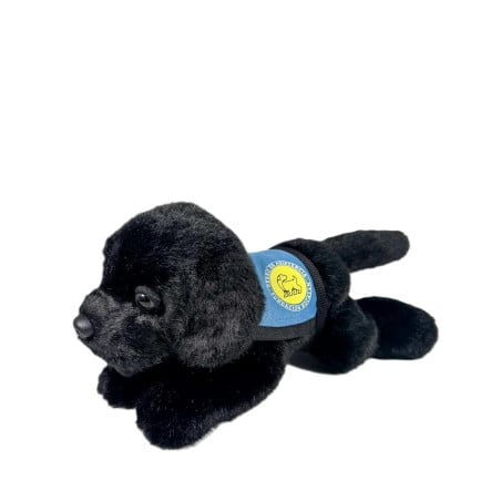 Peluche Labrador Negro 21 Cm De Deqube