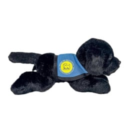 Peluche Labrador Negro 21 Cm De Deqube 2